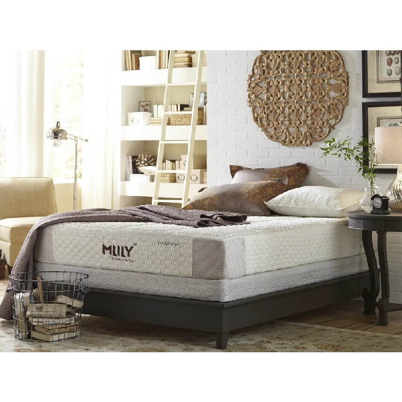 Bamboo - charcoal infused mattresses for odor absorptionMlily Energize 10-inch California King-size Gel Hybrid Mattress