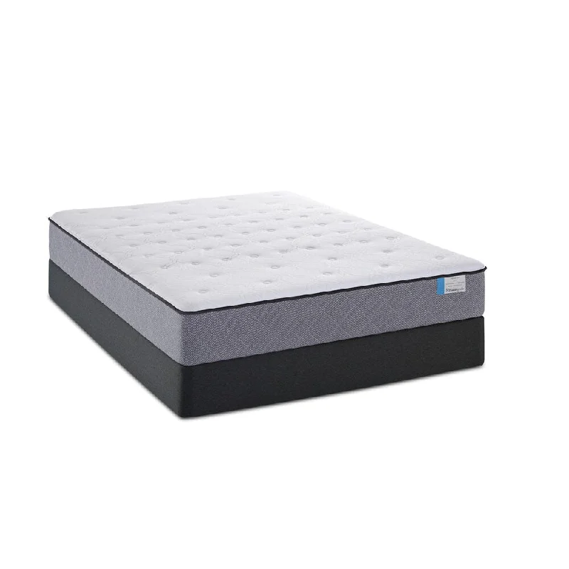 Polyester - foam mattresses for budget - friendly optionsSealy Posturepedic San Antonio Valley Firm Twin-size Mattress Set - White/Grey/Black